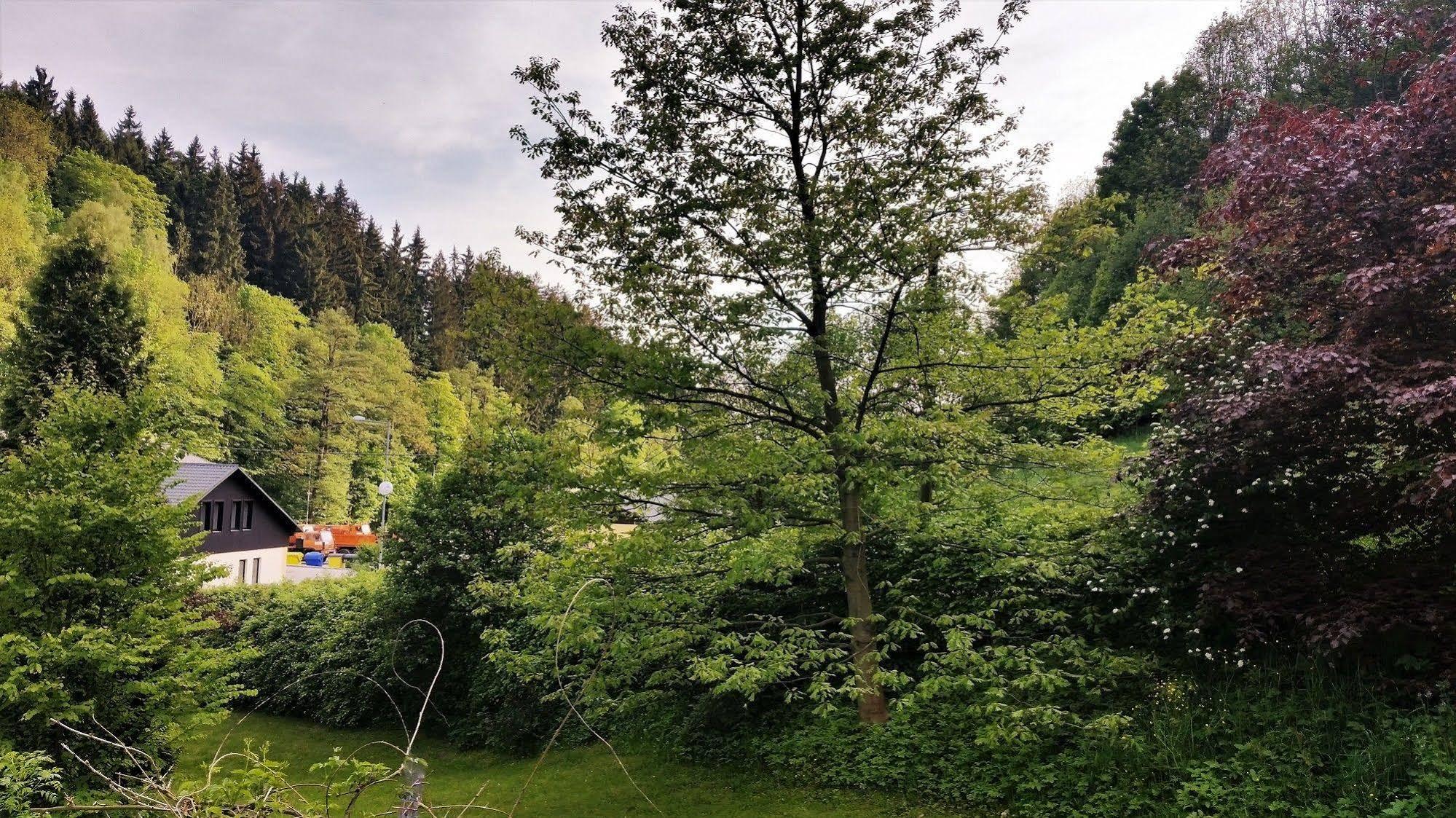 维拉朱里膳食公寓 伊莱姆尼采 外观 照片